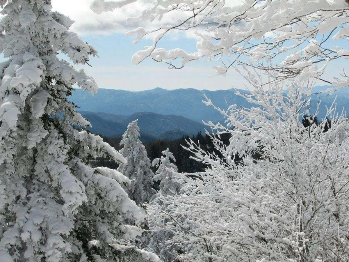 A sweeping view of snow-covered trees stretching toward distant blue-gray mountains, under a clear, vivid sky. The untouched landscape conveys both the beauty and the challenge of the Great Smoky Mountains in winter, inviting thoughts of hiking, photography, and adventure in the wild.
