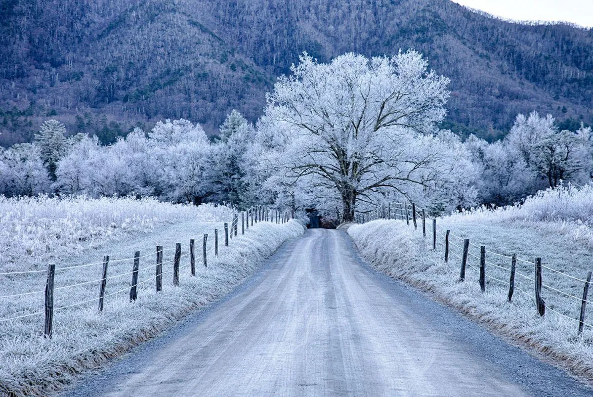 A frost-covered tree stands in the foreground, overlooking rolling fields and a gravel road that leads toward distant mountains. The scene captures early morning stillness and the inviting call of the outdoors, perfect for walks, exploration, or nature photography.